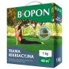 Trawa Rekreacyjna 1kg BIOPON