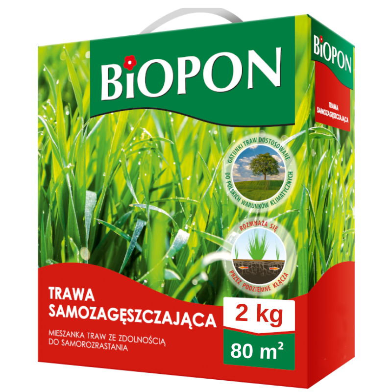 Trawa Samozagęszczająca 2kg BIOPON