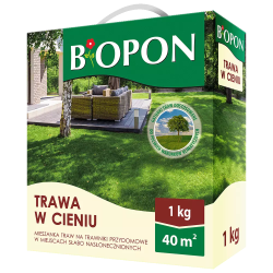 Trawa w Cieniu 1kg BIOPON