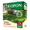 Trawa w Cieniu 1kg BIOPON