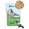 Karma Dla Gołębi Rozpłodowo-Lotowa RL 25kg Elpol