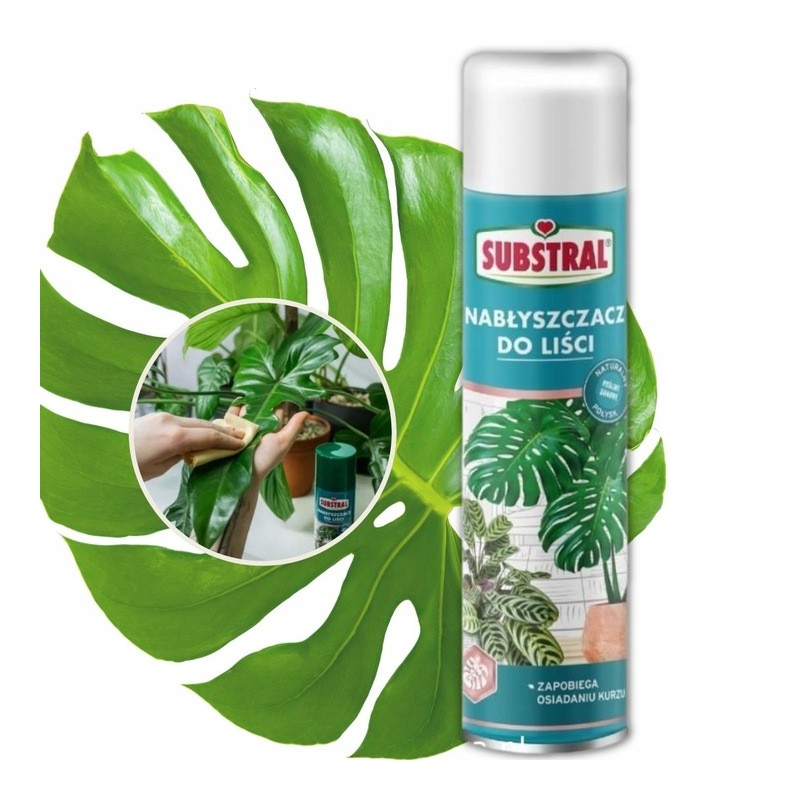 Nabłyszczacz do Liści 600ml Substral