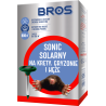 Sonic Solarny BROS