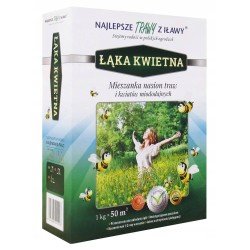 Mieszanka Traw Łąka Kwietna 40m² 1kg "Trawy z Iławy"