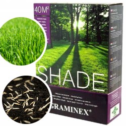 Mieszanka Traw Shade 40m² 1kg Graminex