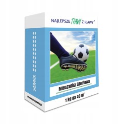 Mieszanka Traw Sportowa 40m² 1kg Karton "Trawy z Iławy"