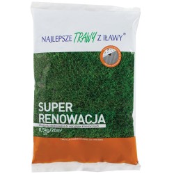 Mieszanka Traw Super Renowacja 20m² 500g "Trawy z Iławy"