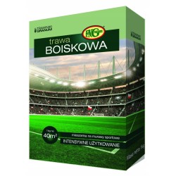 Mieszanka Traw Boiskowa 40m² 1kg