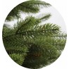 Choinka Sztuczna "Świerk Naturalny PE Premium" 2,3 m
