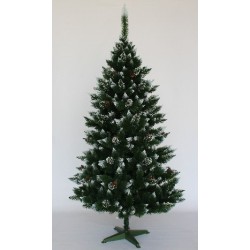 Choinka Sosna szroniona ze szyszką 150cm