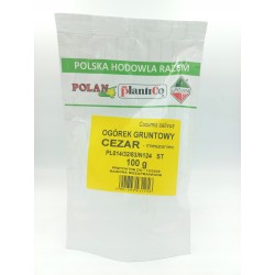 Ogórek Gruntowy Cezar mieszaniec 100g Plantico