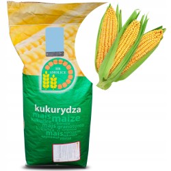 Kukurydza Odmiana Rosomak 80 tys. Nasion HR Smolice