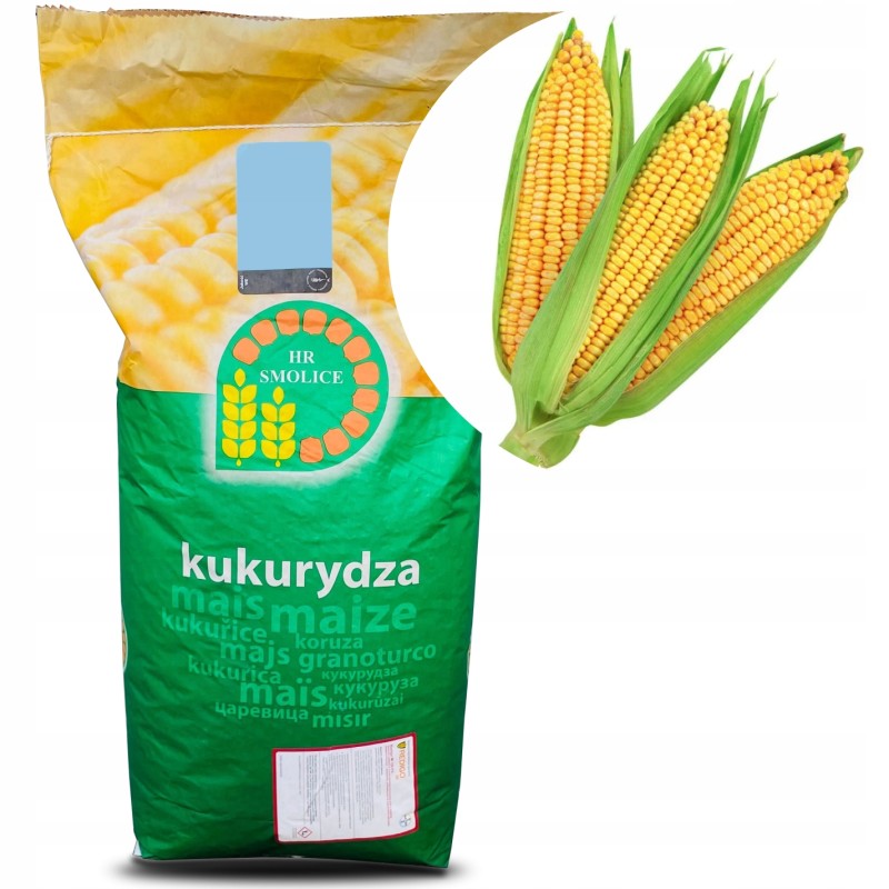 Kukurydza Odmiana Rosomak 80 tys. Nasion HR Smolice
