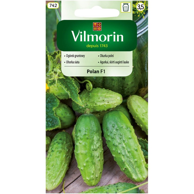Ogórek Gruntowy Polan F1 3g Vilmorin