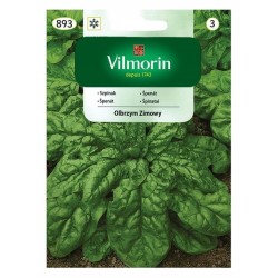 Szpinak Olbrzym Zimowy 20g Vilmorin