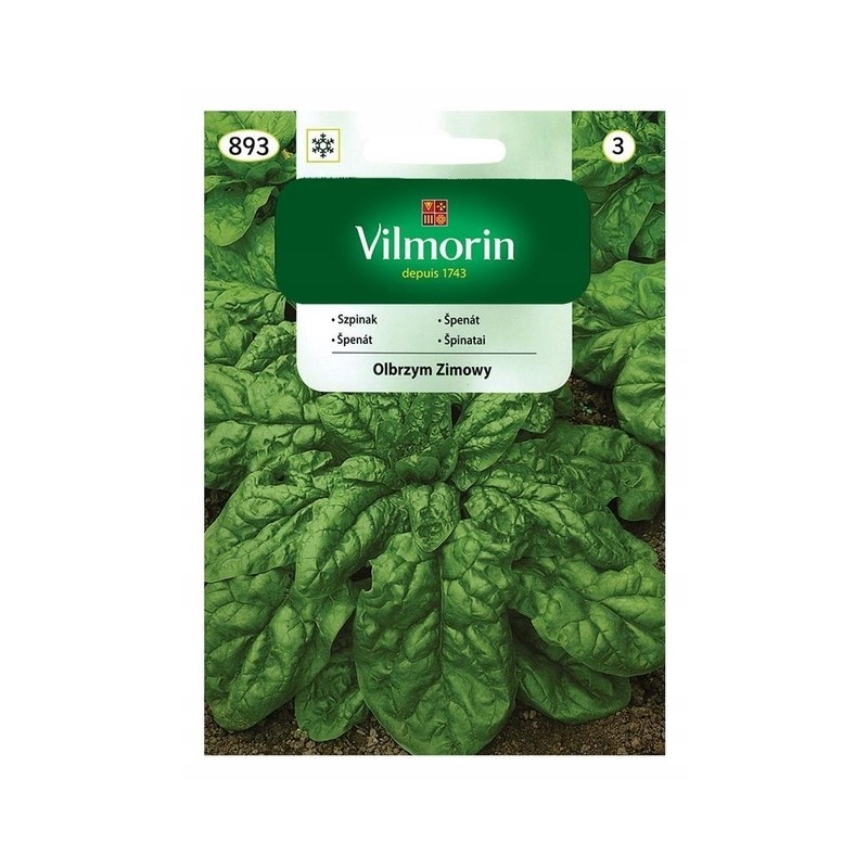 Szpinak Olbrzym Zimowy 20g Vilmorin