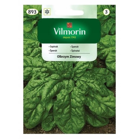 Szpinak Olbrzym Zimowy 20g Vilmorin