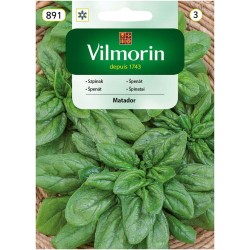 Szpinak Olbrzym Matador 20g Vilmorin