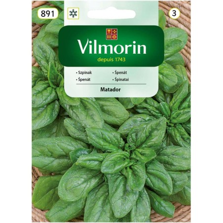Szpinak Olbrzym Matador 20g Vilmorin