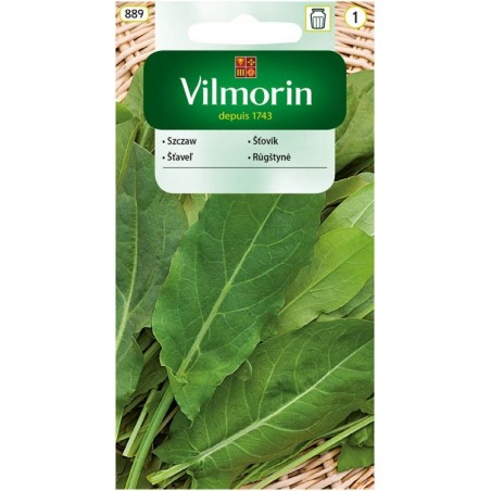 Szczaw 2g Vilmorin