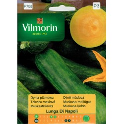 Dynia Piżmowa Lunga Di Napoli 2g Vilmorin