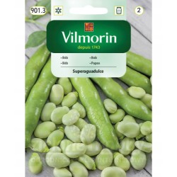 Bób "Superaguadulce" 40g Vilmorin