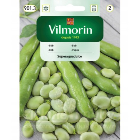 Bób "Superaguadulce" 40g Vilmorin