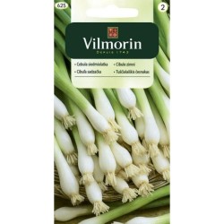 Cebula Siedmiolatka "Bajkal" 2g Vilmorin
