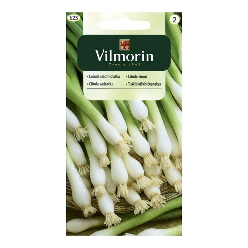 Cebula Siedmiolatka "Bajkal" 2g Vilmorin