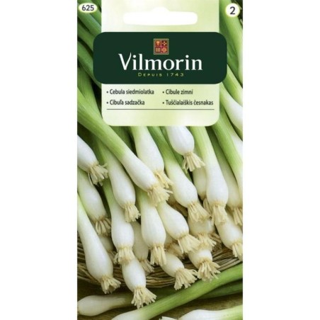 Cebula Siedmiolatka "Bajkal" 2g Vilmorin