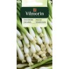 Cebula Siedmiolatka "Bajkal" 2g Vilmorin