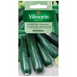 Dynia Zwyczajna - Cukinia Black Beauty 2g Vilmorin
