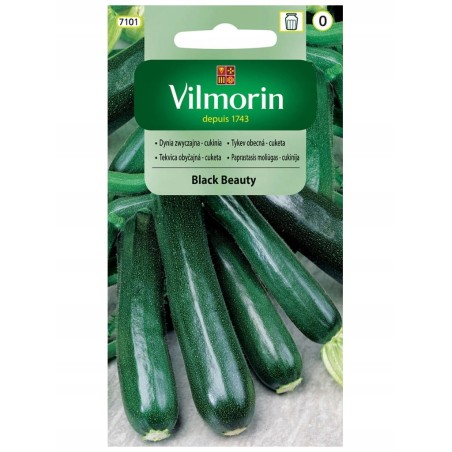 Dynia Zwyczajna - Cukinia Black Beauty 2g Vilmorin
