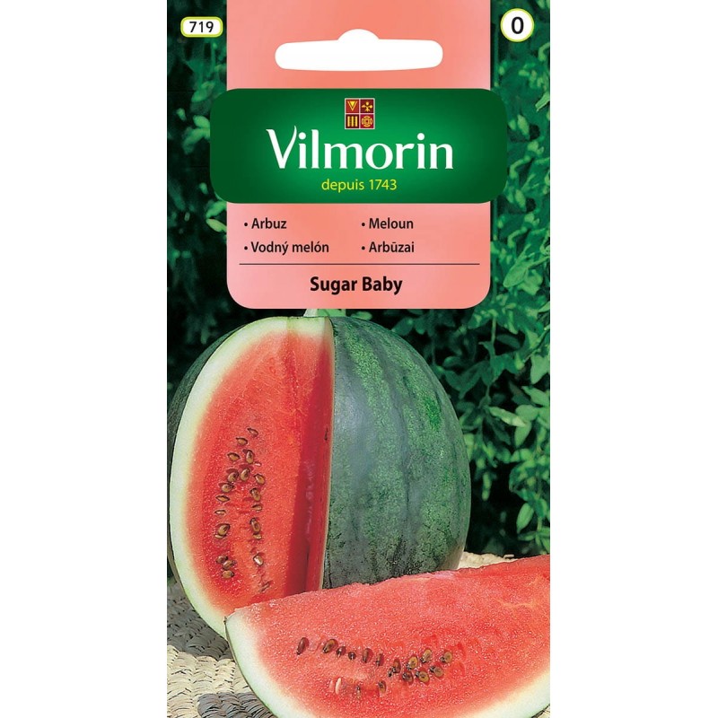 Arbuz Sugar Baby 1g Vilmorin