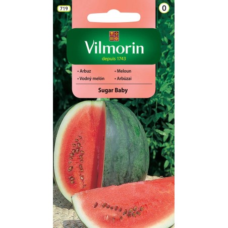 Arbuz Sugar Baby 1g Vilmorin