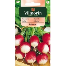 Rzodkiewka Poloneza 5g Vilmorin