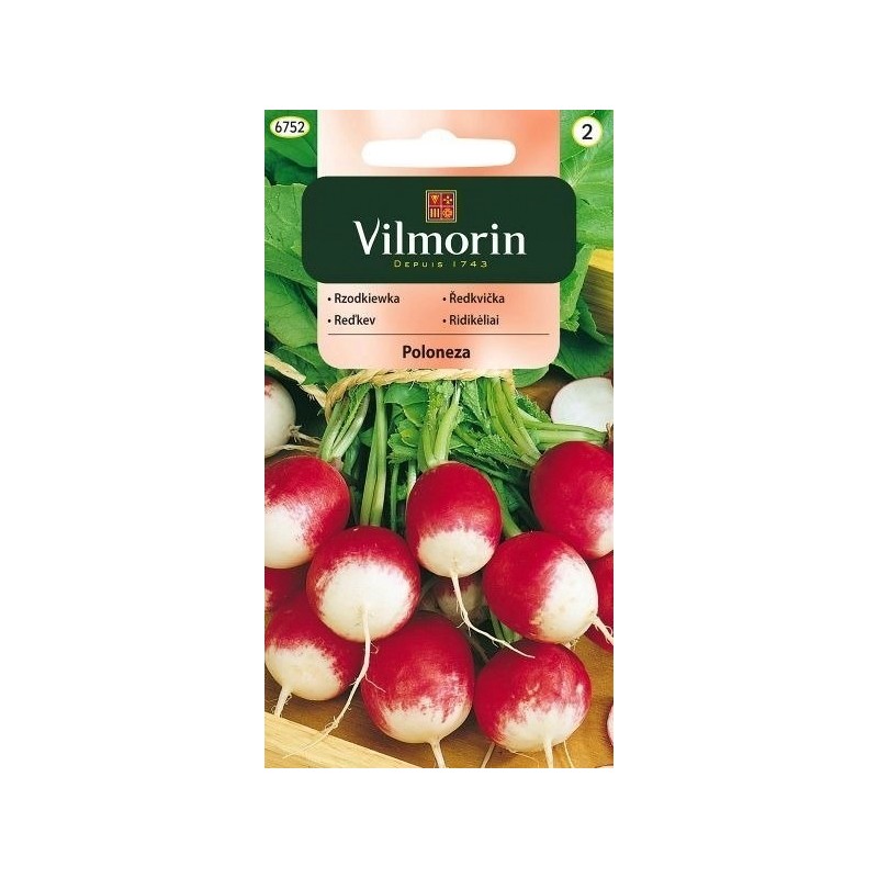 Rzodkiewka Poloneza 5g Vilmorin