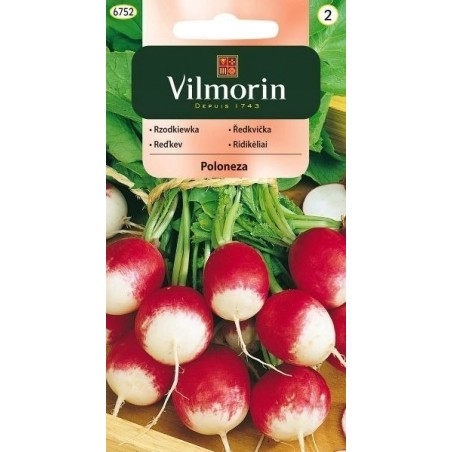 Rzodkiewka Poloneza 5g Vilmorin