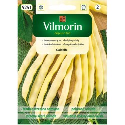 Fasola Szparagowa Tyczna Goldelfe 10g Vilmorin