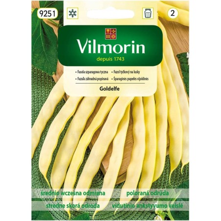 Fasola Szparagowa Tyczna Goldelfe 10g Vilmorin