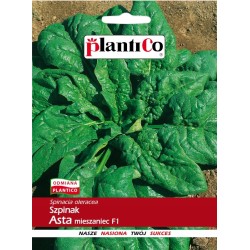 Szpinak Asta F1 10g Plantico