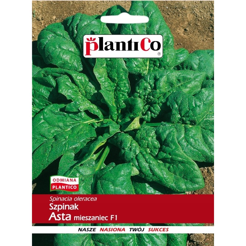 Szpinak Asta F1 10g Plantico
