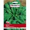 Szpinak Asta F1 10g Plantico