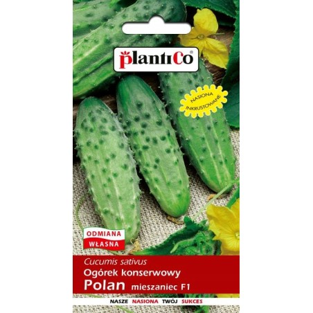 Ogórek Konserwowy Polan F1 5g Plantico