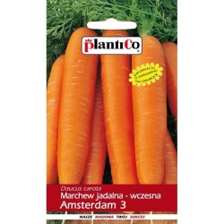 Marchew Jadalna Amsterdam 3 5g Plantico