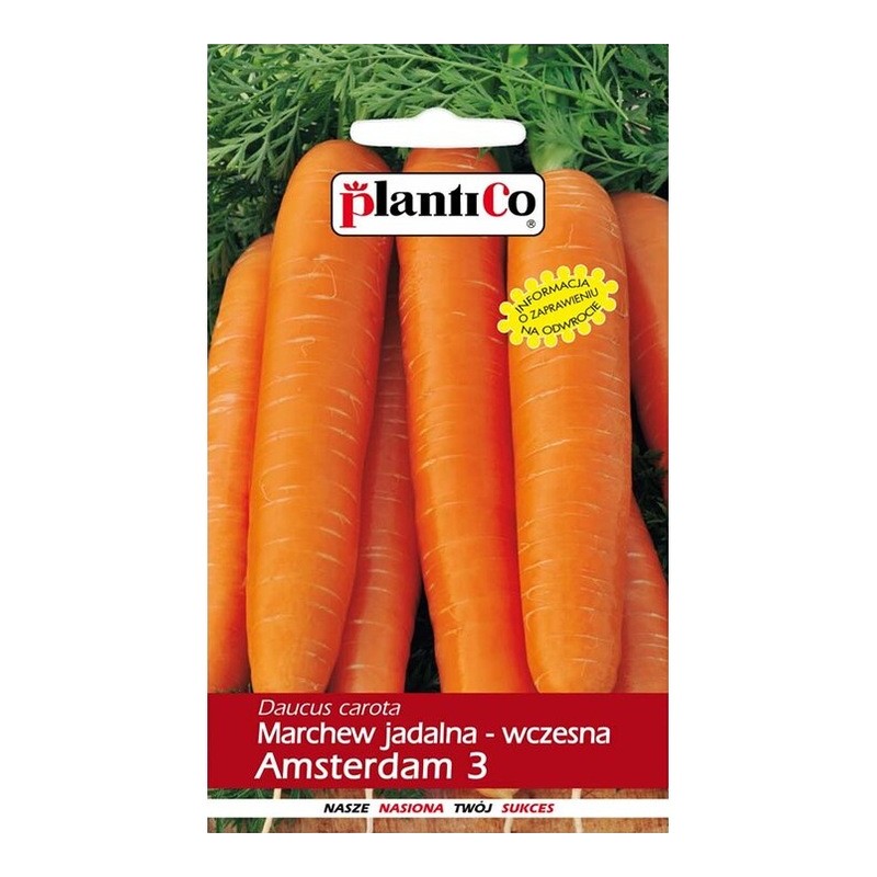 Marchew Jadalna Amsterdam 3 5g Plantico