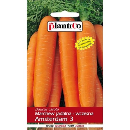 Marchew Jadalna Amsterdam 3 5g Plantico
