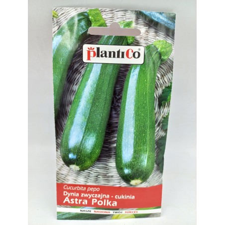 Dynia Zwyczajna - Cukinia Atena Polka 3g Plantico