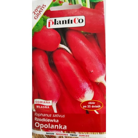 Rzodkiewka Opolanka 12g Plantico