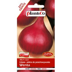 Cebula Późna do Przechowywania Wenta 6g Plantico